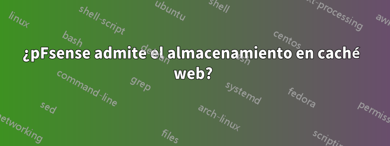 ¿pFsense admite el almacenamiento en caché web?