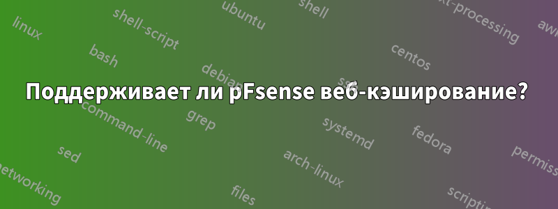 Поддерживает ли pFsense веб-кэширование?