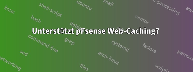 Unterstützt pFsense Web-Caching?