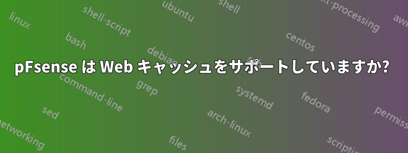 pFsense は Web キャッシュをサポートしていますか?