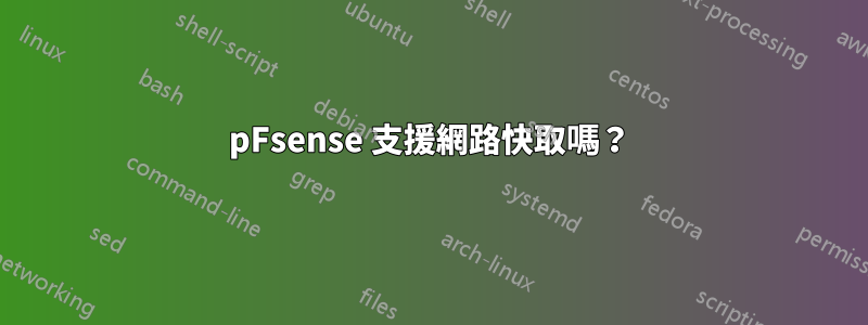 pFsense 支援網路快取嗎？