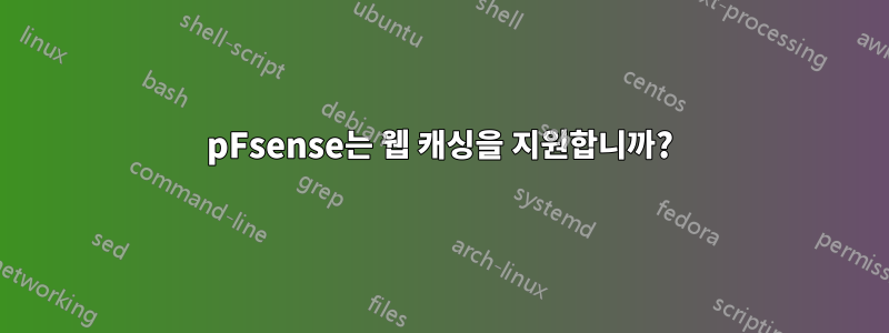 pFsense는 웹 캐싱을 지원합니까?