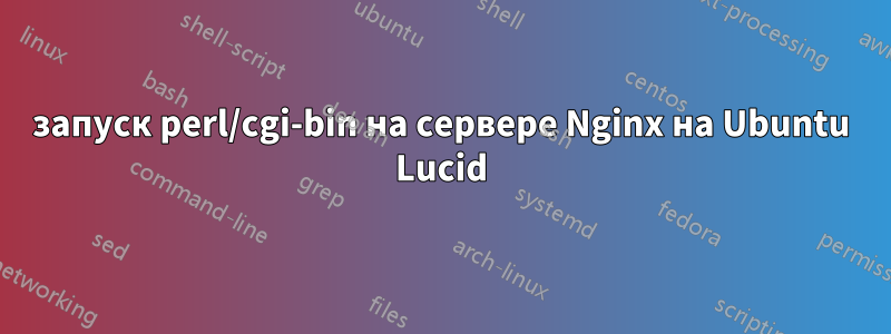 запуск perl/cgi-bin на сервере Nginx на Ubuntu Lucid