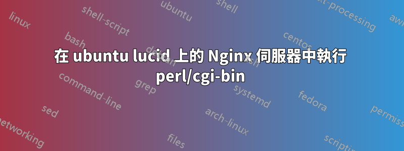 在 ubuntu lucid 上的 Nginx 伺服器中執行 perl/cgi-bin