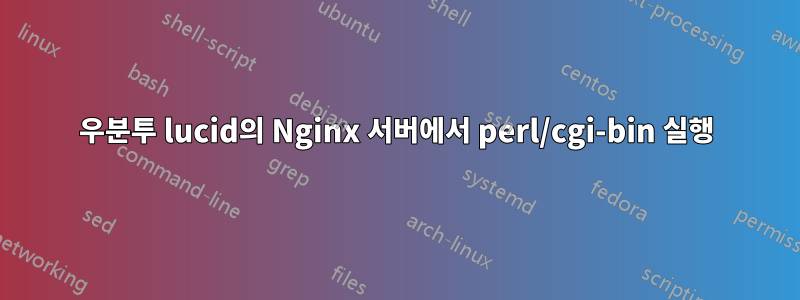 우분투 lucid의 Nginx 서버에서 perl/cgi-bin 실행