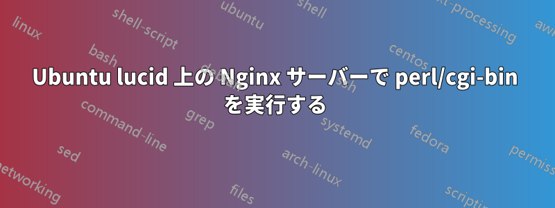 Ubuntu lucid 上の Nginx サーバーで perl/cgi-bin を実行する