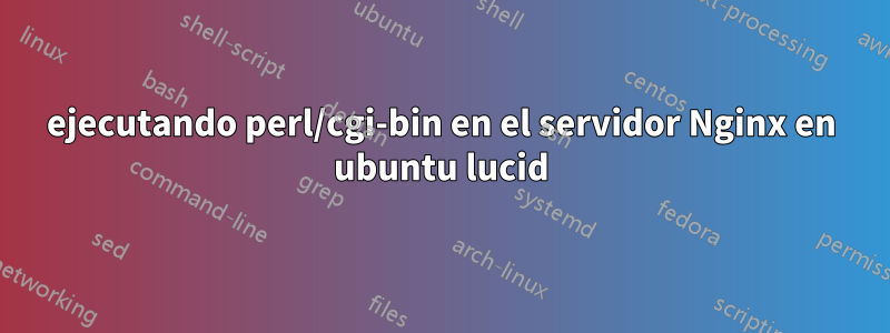 ejecutando perl/cgi-bin en el servidor Nginx en ubuntu lucid