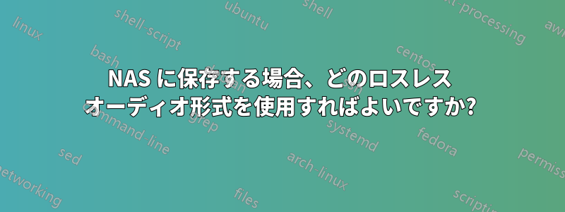 NAS に保存する場合、どのロスレス オーディオ形式を使用すればよいですか?