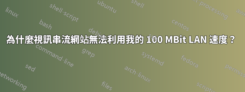 為什麼視訊串流網站無法利用我的 100 MBit LAN 速度？