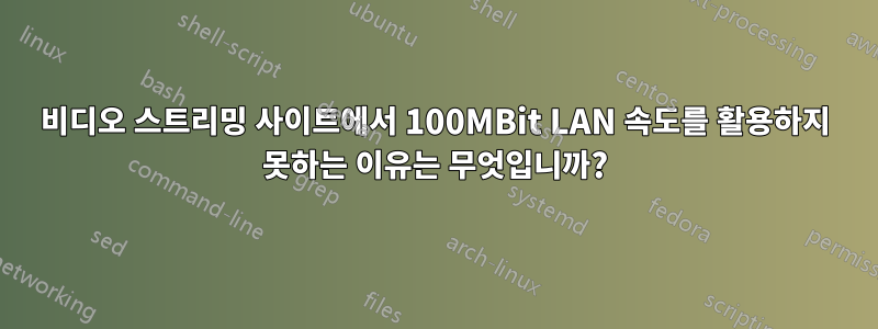 비디오 스트리밍 사이트에서 100MBit LAN 속도를 활용하지 못하는 이유는 무엇입니까?