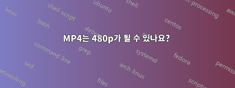 MP4는 480p가 될 수 있나요?