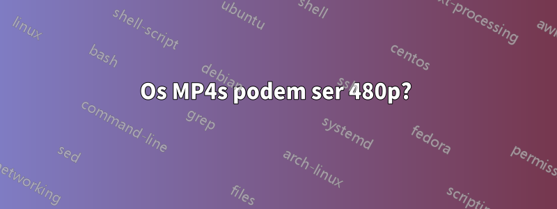 Os MP4s podem ser 480p?