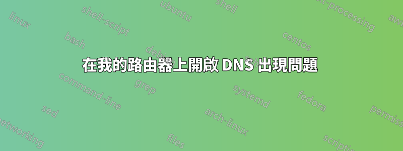 在我的路由器上開啟 DNS 出現問題