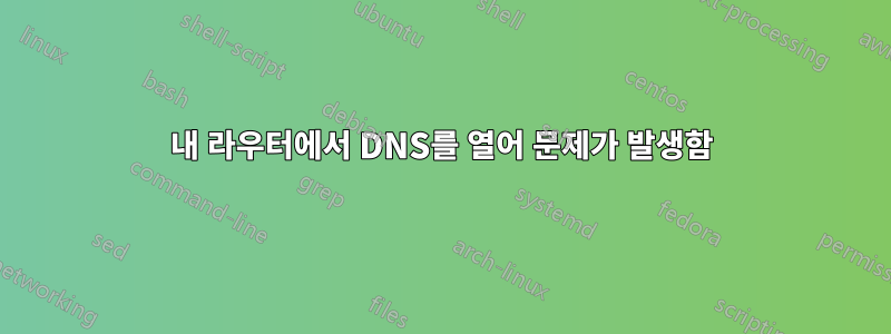 내 라우터에서 DNS를 열어 문제가 발생함