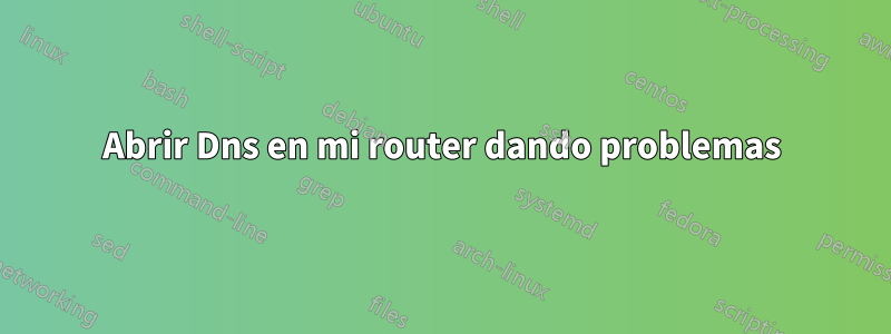 Abrir Dns en mi router dando problemas