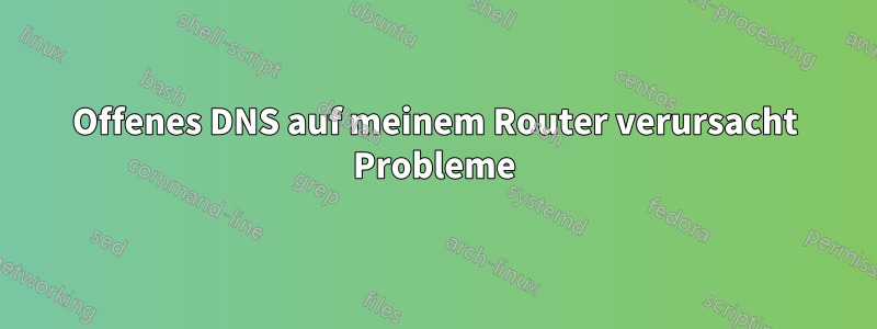 Offenes DNS auf meinem Router verursacht Probleme