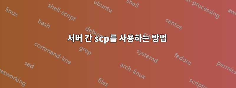 서버 간 scp를 사용하는 방법