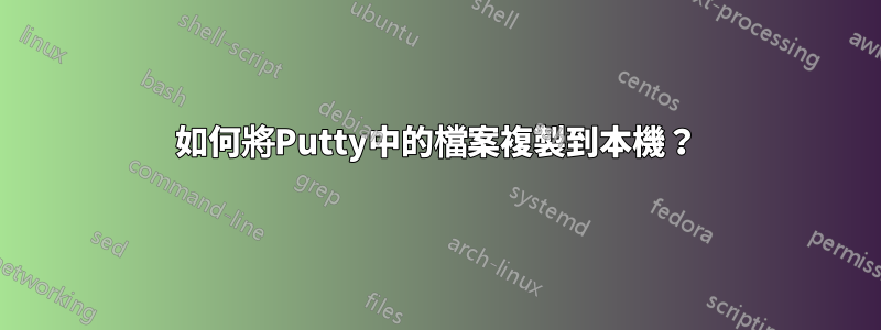 如何將Putty中的檔案複製到本機？