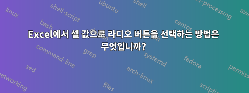 Excel에서 셀 값으로 라디오 버튼을 선택하는 방법은 무엇입니까?