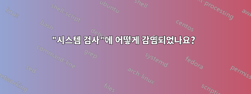 "시스템 검사"에 어떻게 감염되었나요? 