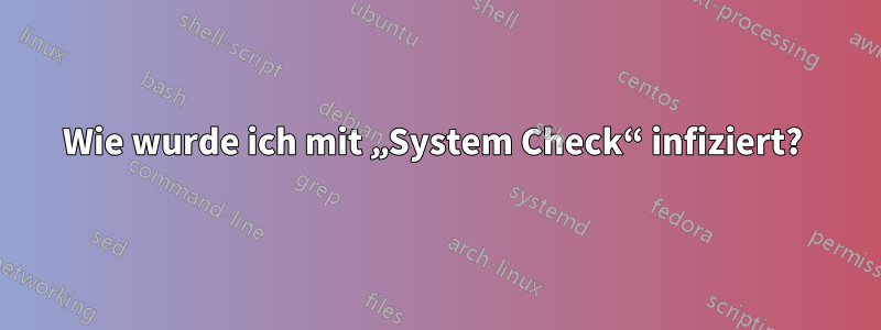 Wie wurde ich mit „System Check“ infiziert? 