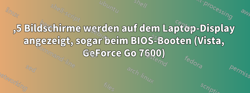 2,5 Bildschirme werden auf dem Laptop-Display angezeigt, sogar beim BIOS-Booten (Vista, GeForce Go 7600)