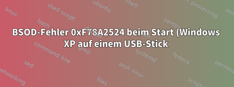 BSOD-Fehler 0xF78A2524 beim Start (Windows XP auf einem USB-Stick)