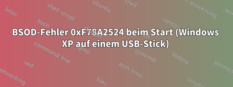 BSOD-Fehler 0xF78A2524 beim Start (Windows XP auf einem USB-Stick)