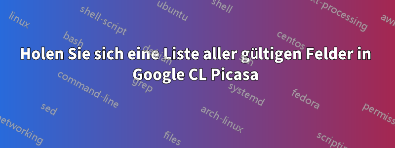 Holen Sie sich eine Liste aller gültigen Felder in Google CL Picasa