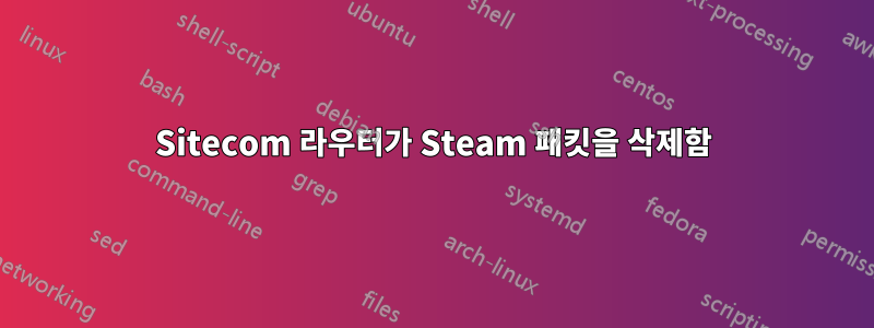 Sitecom 라우터가 Steam 패킷을 삭제함