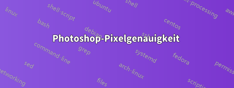 Photoshop-Pixelgenauigkeit