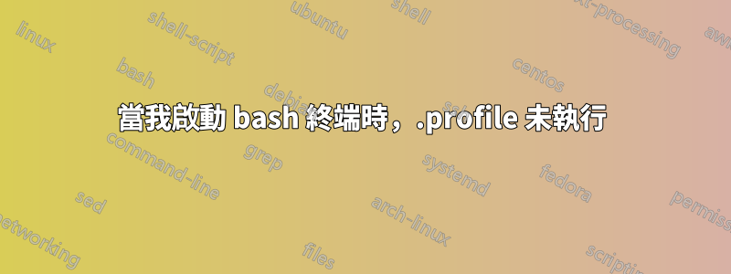 當我啟動 bash 終端時，.profile 未執行