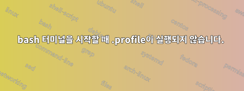 bash 터미널을 시작할 때 .profile이 실행되지 않습니다.