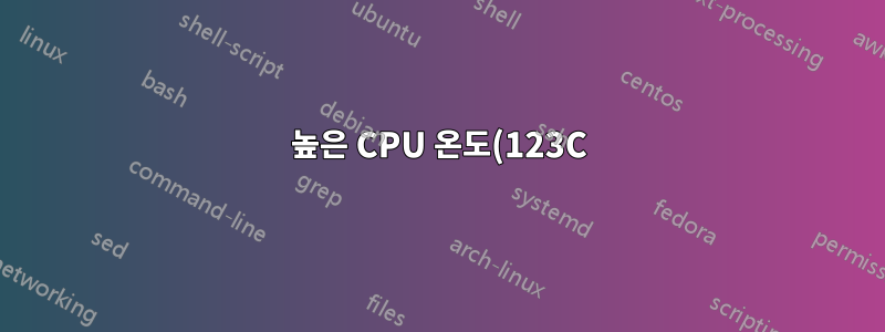 높은 CPU 온도(123C)