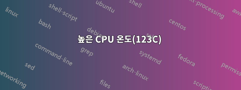 높은 CPU 온도(123C)