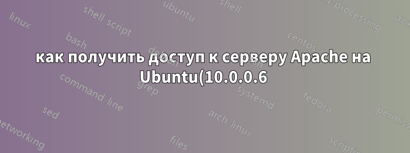 как получить доступ к серверу Apache на Ubuntu(10.0.0.6) из Windows Vista(10.0.0.9) внутри локальной сети?