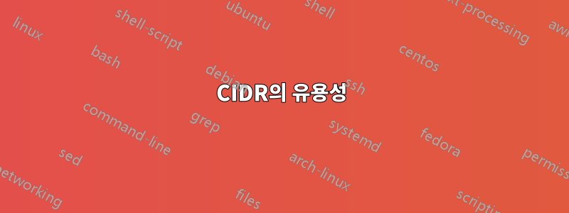 CIDR의 유용성