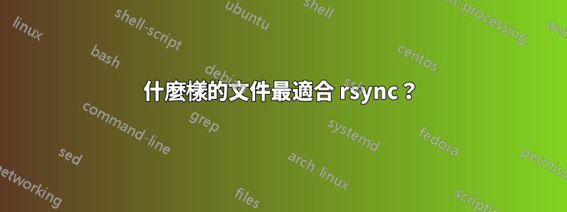 什麼樣的文件最適合 rsync？