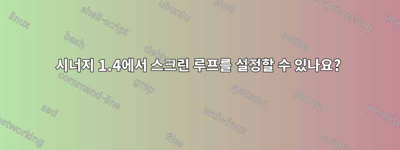 시너지 1.4에서 스크린 루프를 설정할 수 있나요?