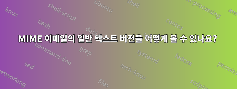 MIME 이메일의 일반 텍스트 버전을 어떻게 볼 수 있나요?