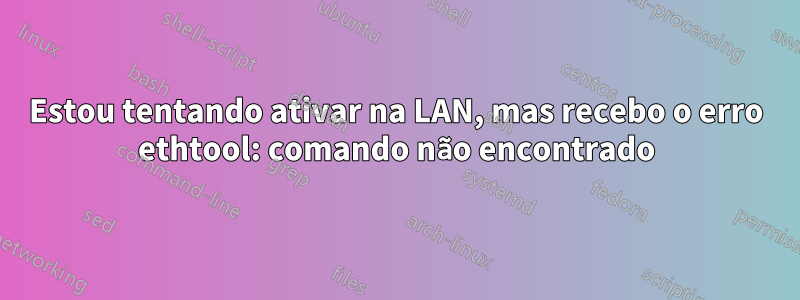 Estou tentando ativar na LAN, mas recebo o erro ethtool: comando não encontrado