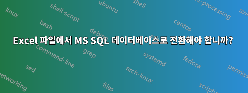 Excel 파일에서 MS SQL 데이터베이스로 전환해야 합니까?