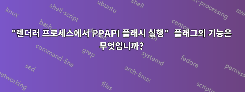 "렌더러 프로세스에서 PPAPI 플래시 실행" 플래그의 기능은 무엇입니까?