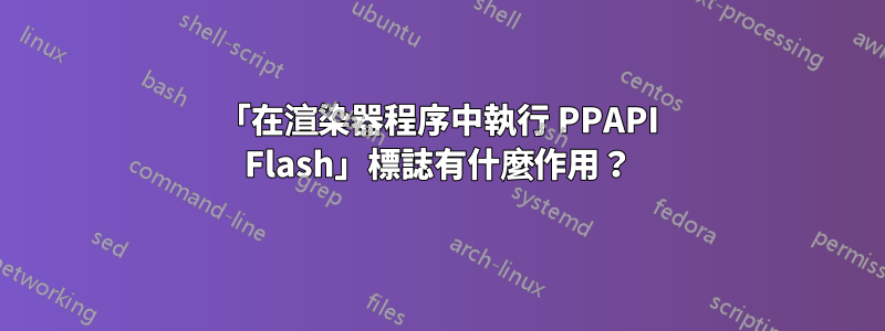 「在渲染器程序中執行 PPAPI Flash」標誌有什麼作用？