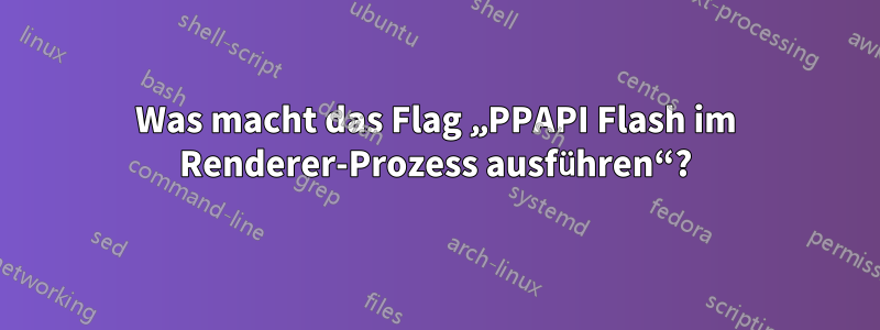 Was macht das Flag „PPAPI Flash im Renderer-Prozess ausführen“?