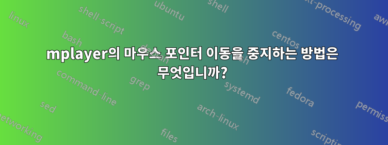 mplayer의 마우스 포인터 이동을 중지하는 방법은 무엇입니까?