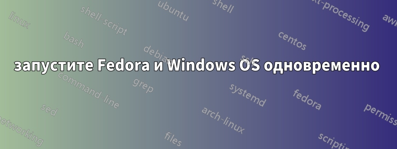 запустите Fedora и Windows OS одновременно