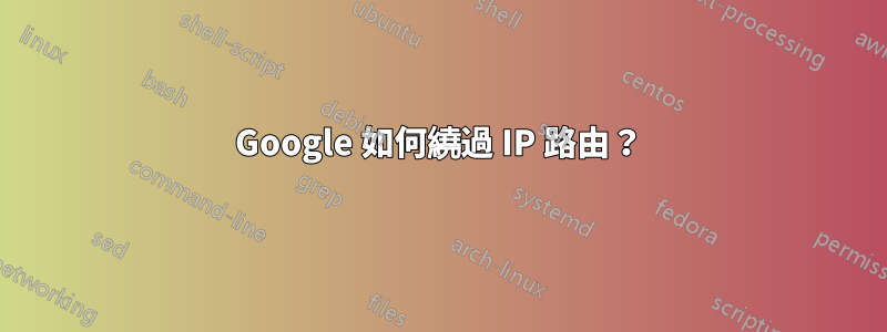 Google 如何繞過 IP 路由?