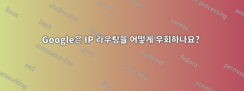 Google은 IP 라우팅을 어떻게 우회하나요?