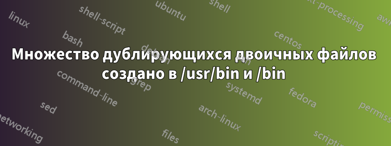 Множество дублирующихся двоичных файлов создано в /usr/bin и /bin